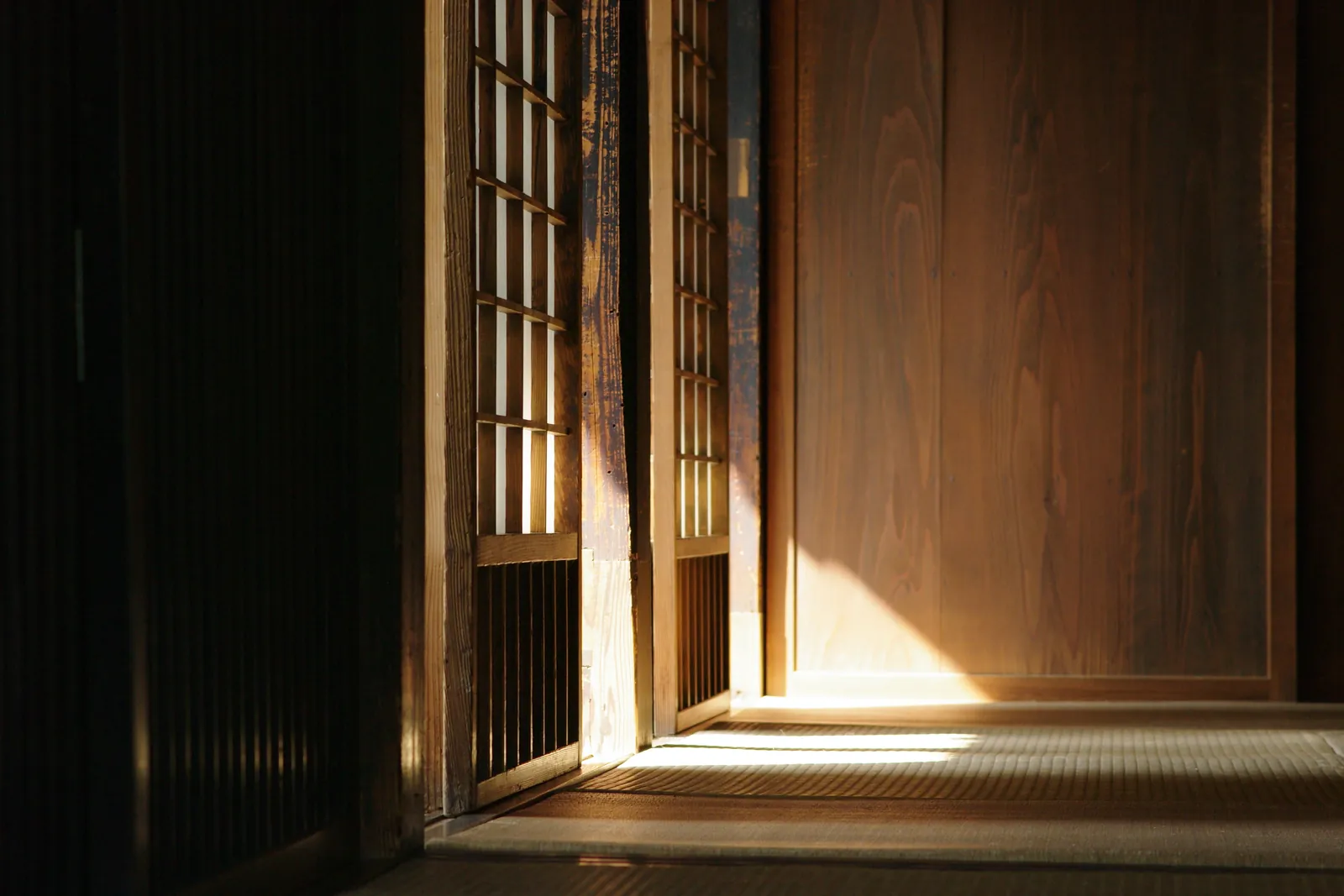陰影のある和の室内に差し込む柔らかな光